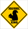 SQUIRREL CROSSING~Funny Novelty Xing Gift Sign 12"x12" LARGE FREE SHIPPING