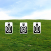 Small targets 8"x12" 3 Pack