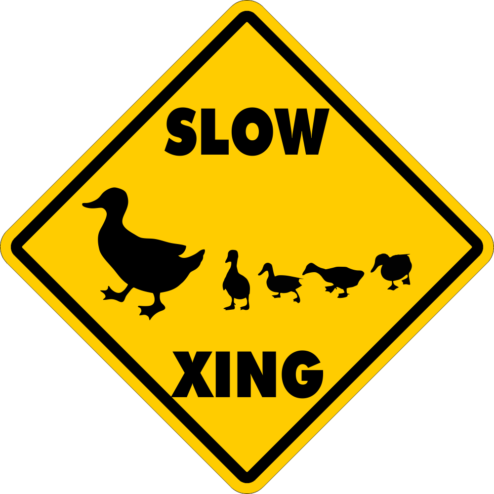 DUCK CROSSING~Funny Novelty Xing Gift Sign 12"x12" LARGE FREE SHIPPING