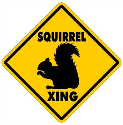 SQUIRREL CROSSING~Funny Novelty Xing Gift Sign 12