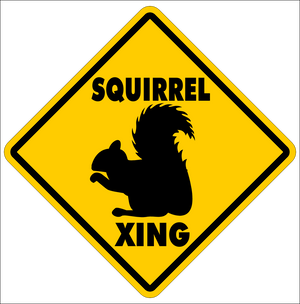 SQUIRREL CROSSING~Funny Novelty Xing Gift Sign 12"x12" LARGE FREE SHIPPING